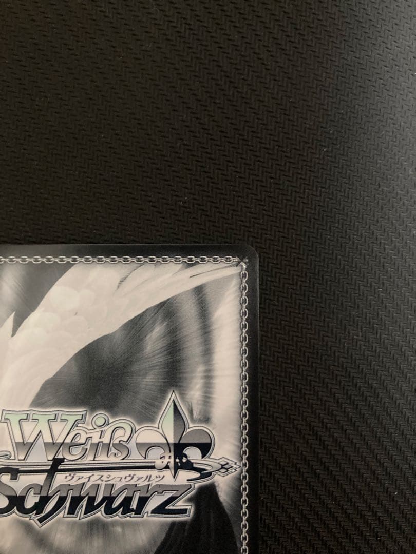 未来へ一緒に 尾丸ポルカ SSP