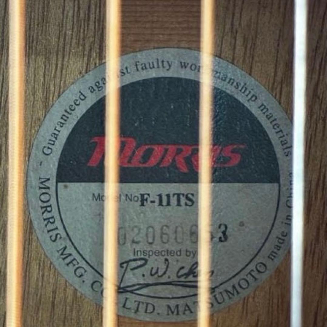 メダカちゃんページ【弦新品】Morris アコギ 初心者向け