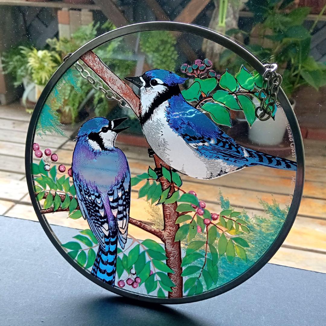 トロント・ステンドグラス Blue Jay ブルージェイ アオカケス