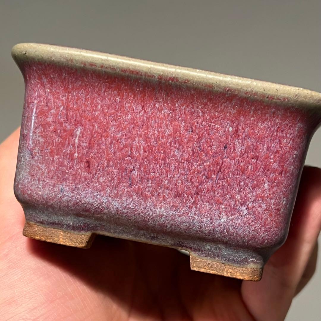 835.平安虹泉 紫釉抚角長方 盆栽鉢 植木鉢 11.7*9.7*5.7cm