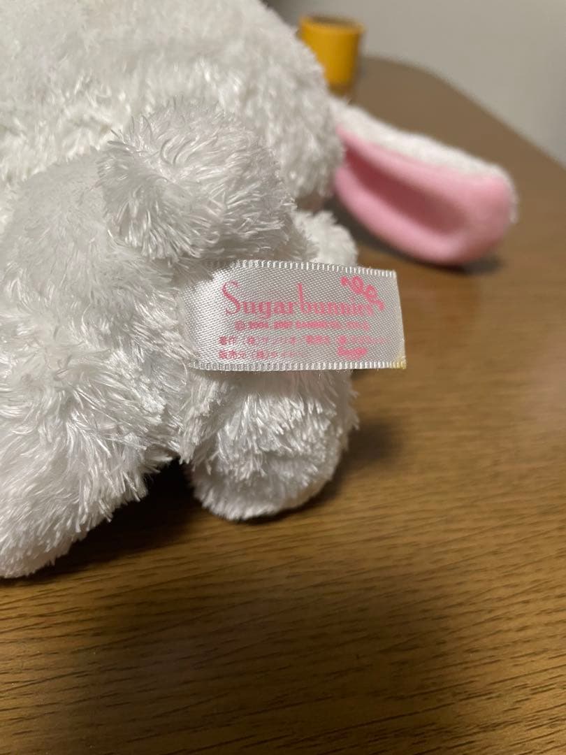 シュガーバニーズ　しろうさ