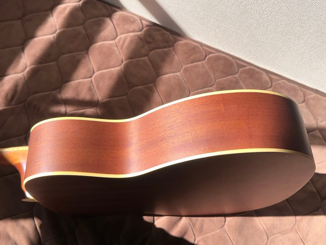 スタッフォードSF-300F-NFishman搭載｜ショートスケール｜専用ケース