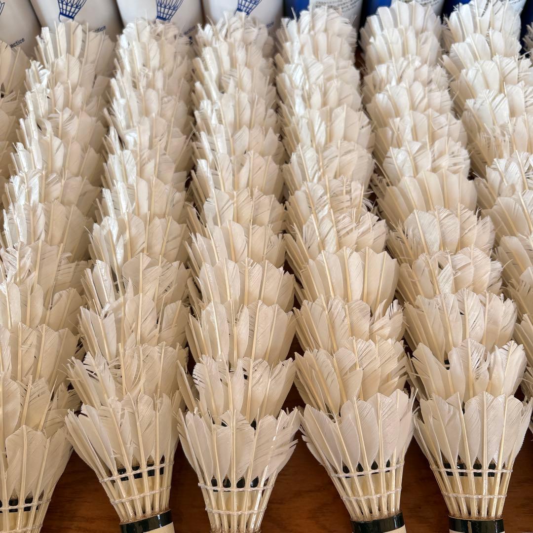 AEROSENSA 500D バドミントンシャトル 1箱120球