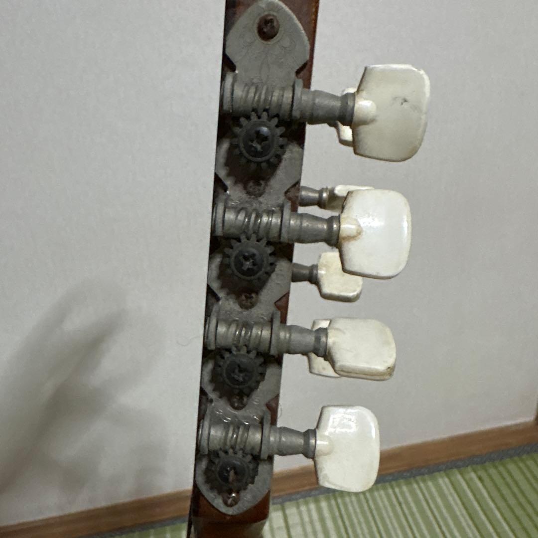 Raffaele 寺田楽器製 ハイエンド マンドリン RM-3 弦　ギター