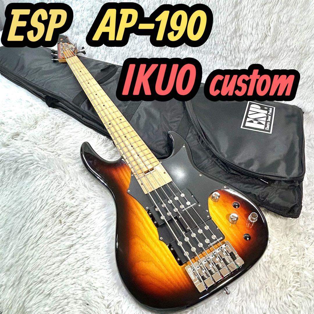 【激レア】ESP AP-190 Custom 5弦ベース IKUO シグネイチャ
