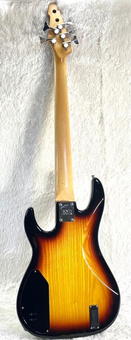 【激レア】ESP AP-190 Custom 5弦ベース IKUO シグネイチャ