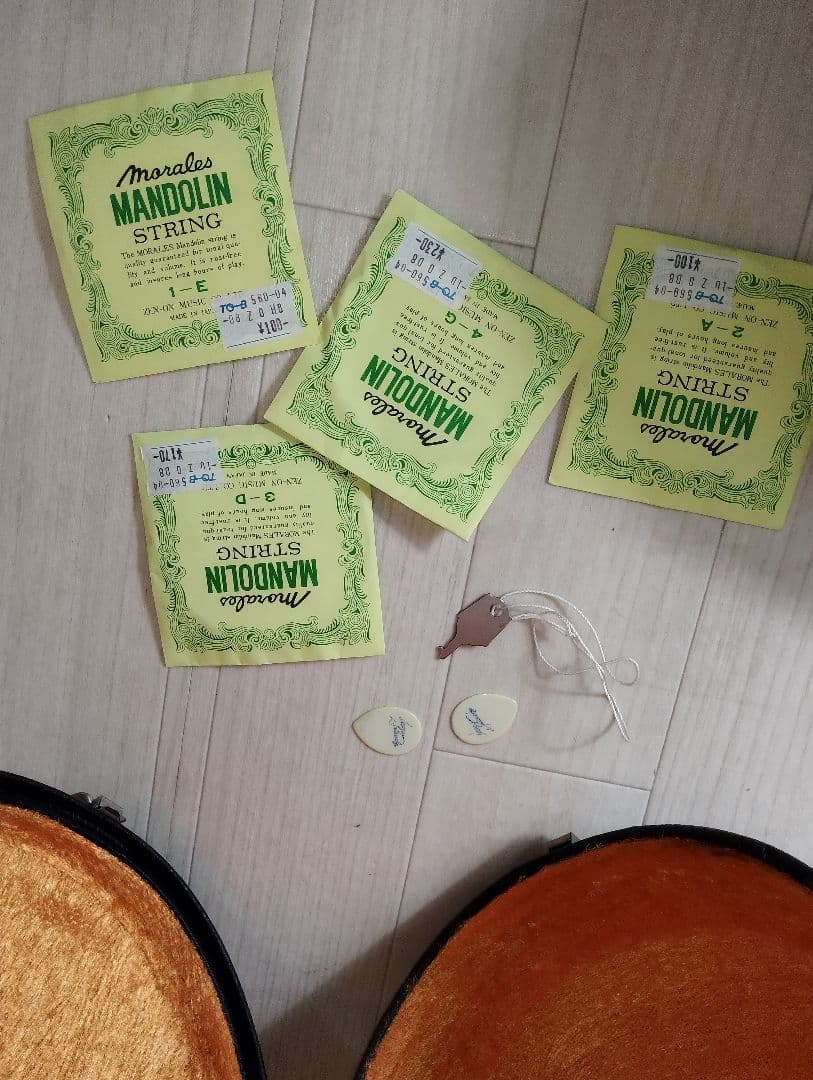 【美品】SUZUKI M-30マンドリン 8弦 ハードケース付き