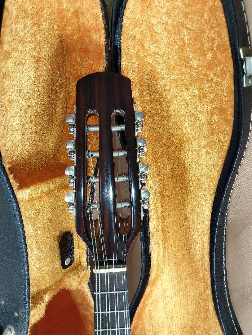 【美品】SUZUKI M-30マンドリン 8弦 ハードケース付き