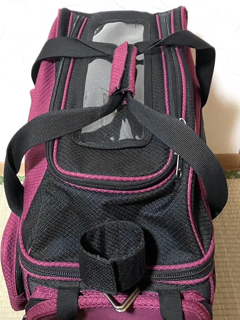 【24時間以内/早い者勝ち】ABS PRO-am キャスターバッグ 2ボール