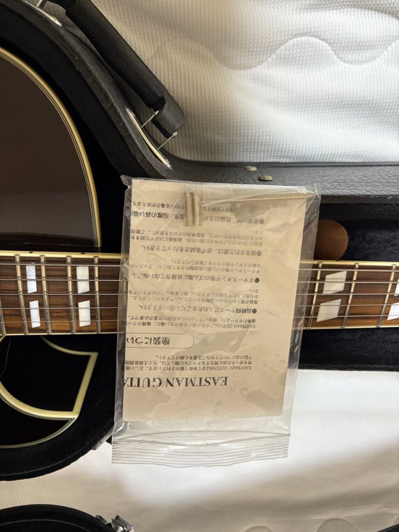 ギター Eastman AR-175CE Sunburst