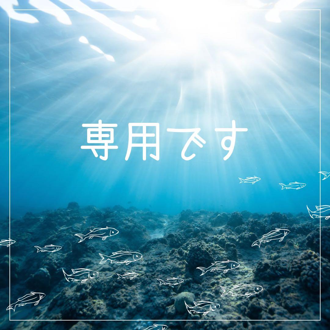 中古　シマノ　SHIMANO ステラ STELLA SW 30000