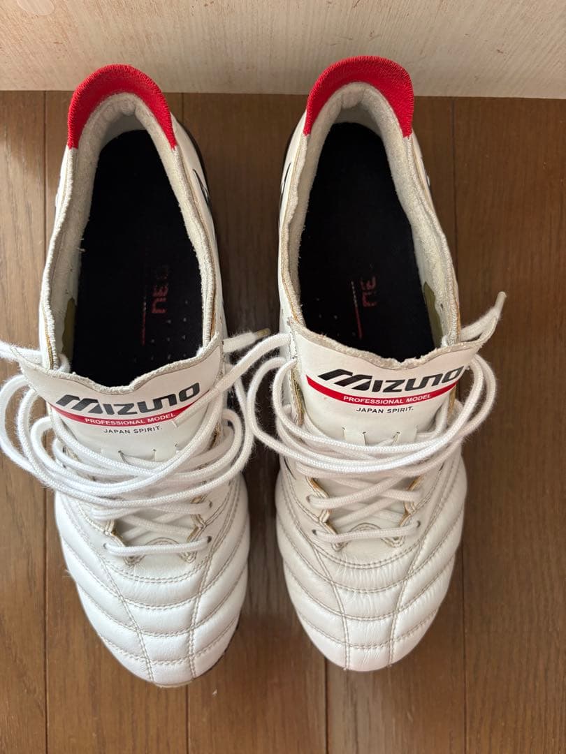MIZUNOモレリアネオ3Japan MIX
