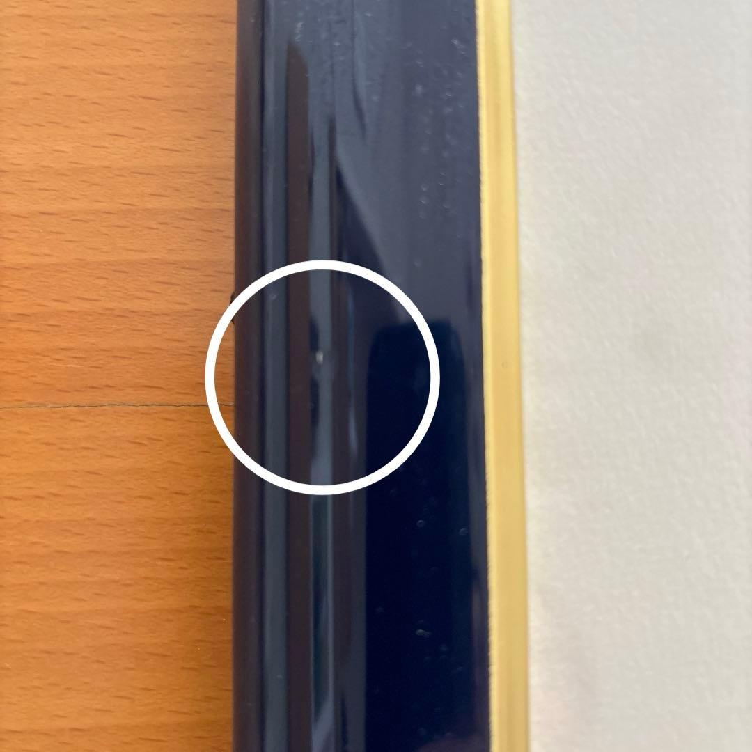 Seiji Fujishiro レフグラフ　サイン入り【線香花火】　藤城清治