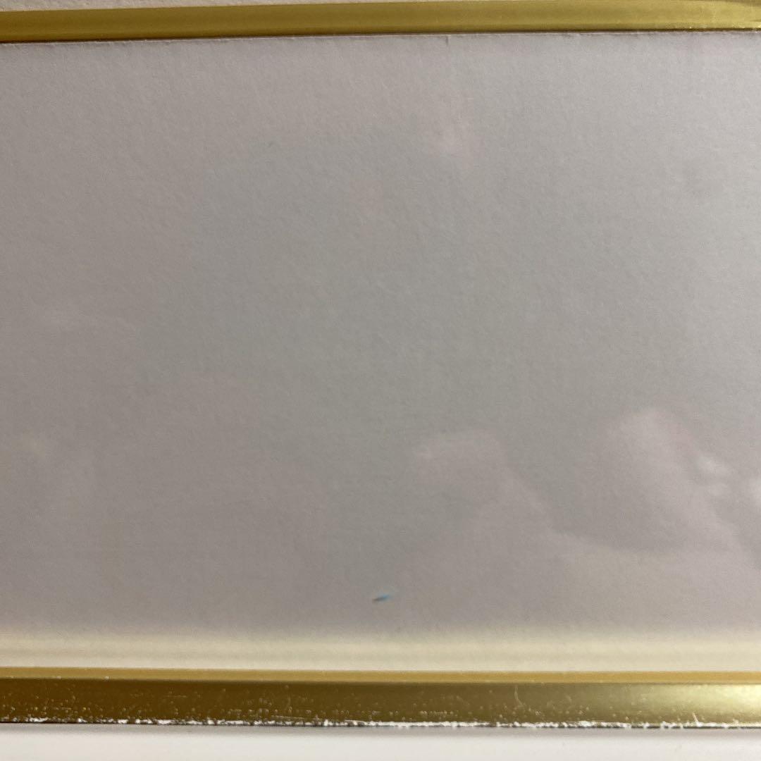 ミッフィー　シルクスクリーン