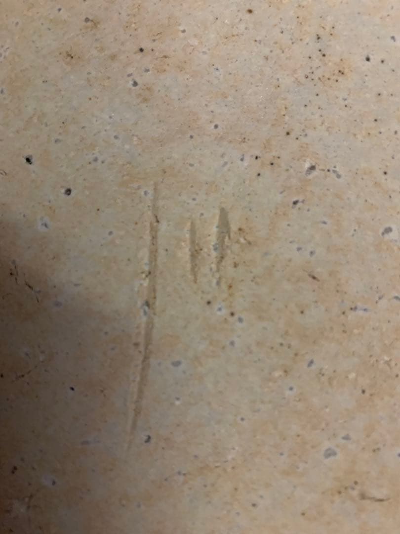 井村光男　信楽四方皿　大皿　工芸　陶芸