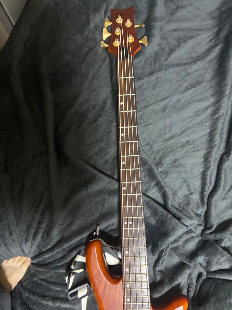 SCHECTER 5弦 stiletto studio5