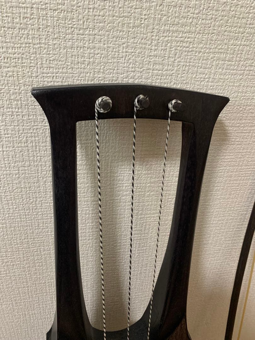 Tagelharpa タールハルパ Talharpa 北欧　民族楽器 職人手作り