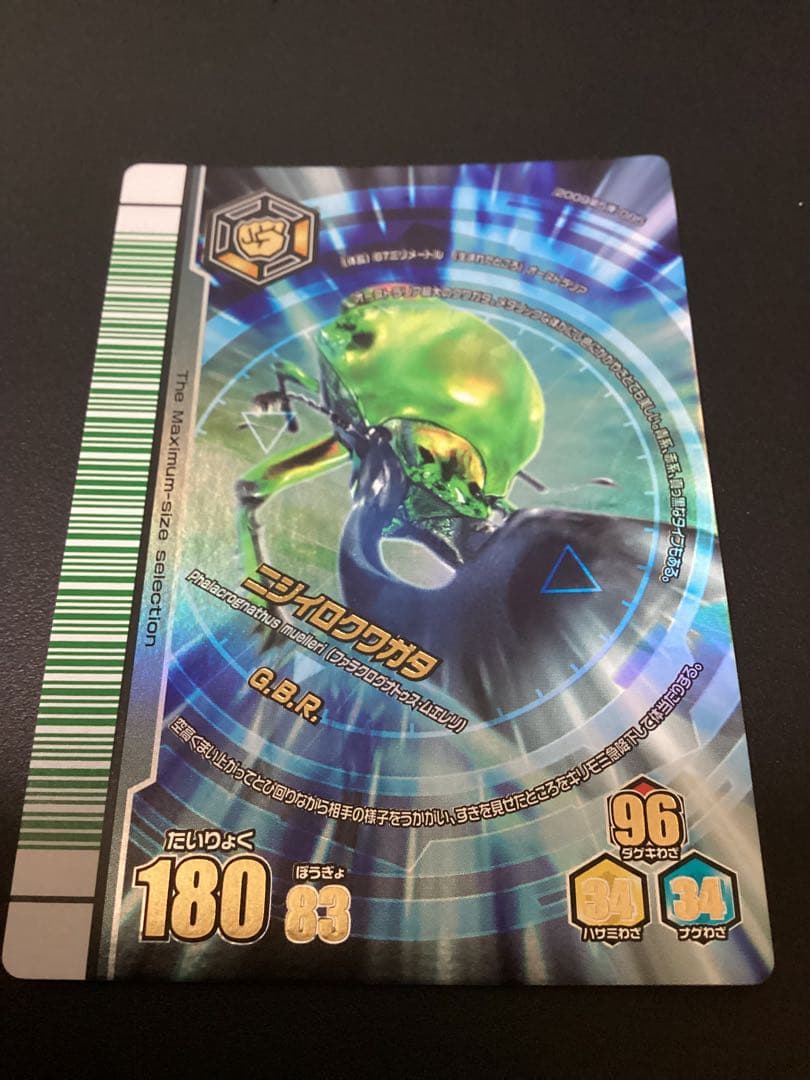 ぷてらす　ヘルクレスオオカブト 他