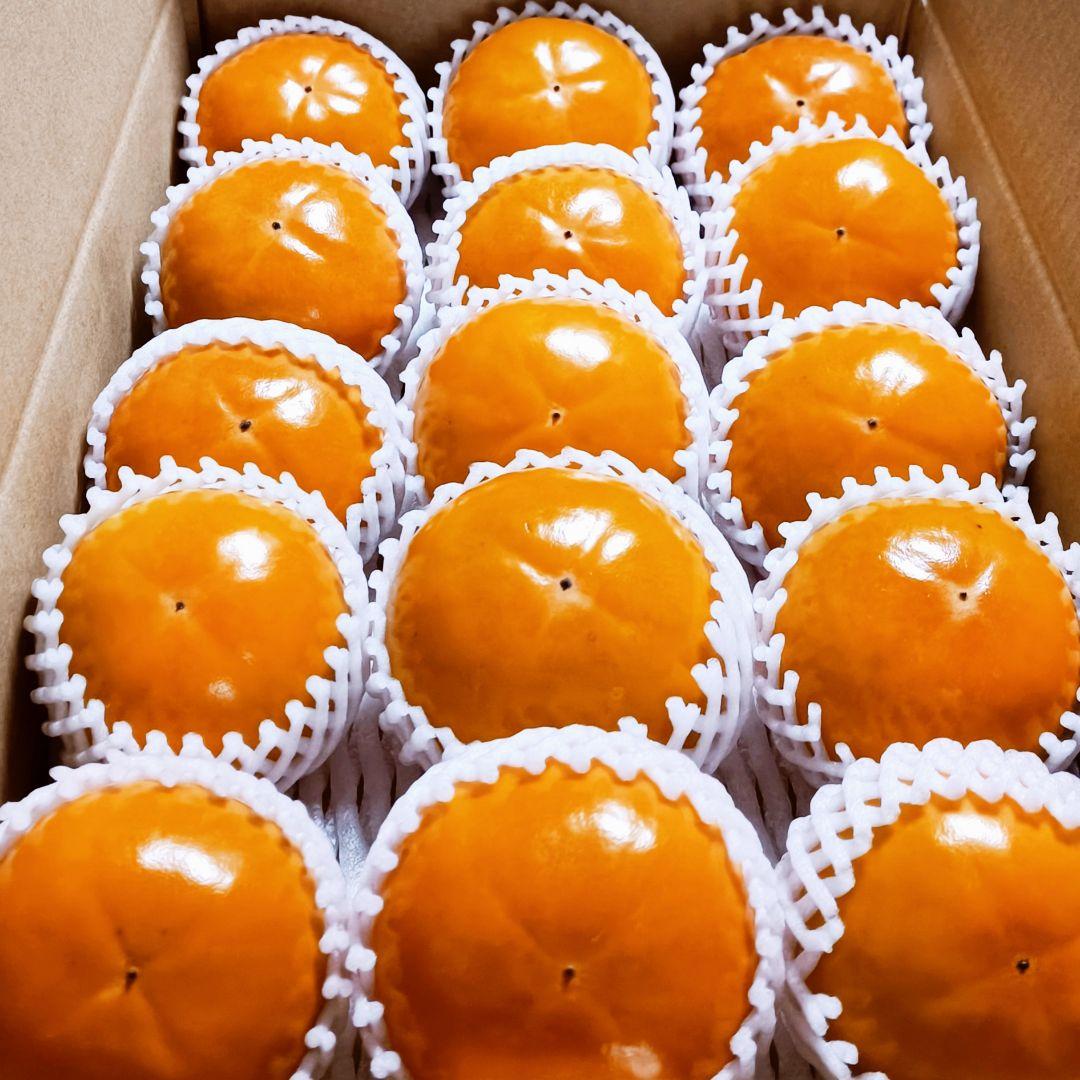 【大玉】福岡県産ブランド富有柿9kg