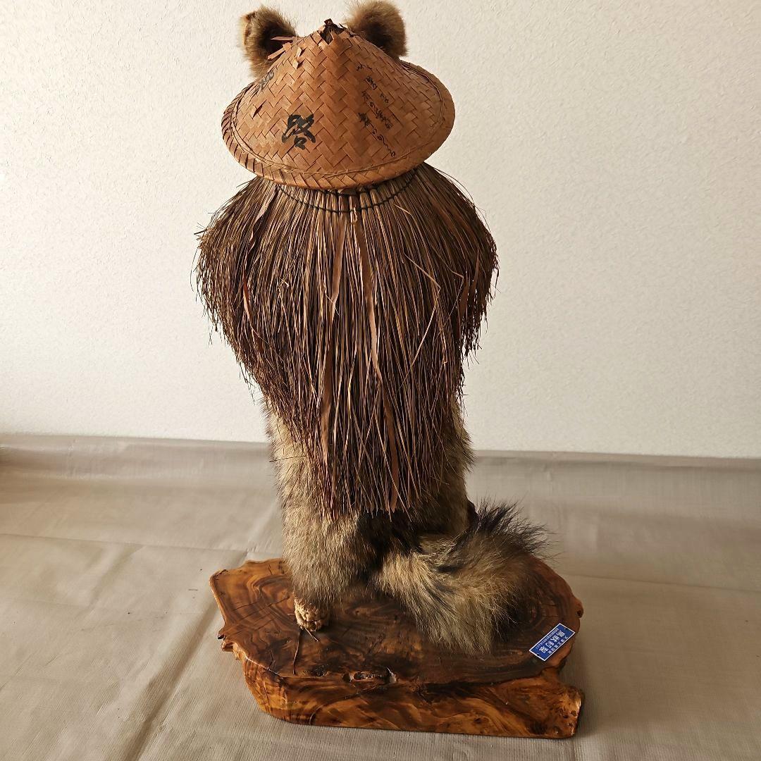タヌキ　狸　鳥獣　剥製　本物　縁起物　商売繁盛　出世運　天然木　台座付き