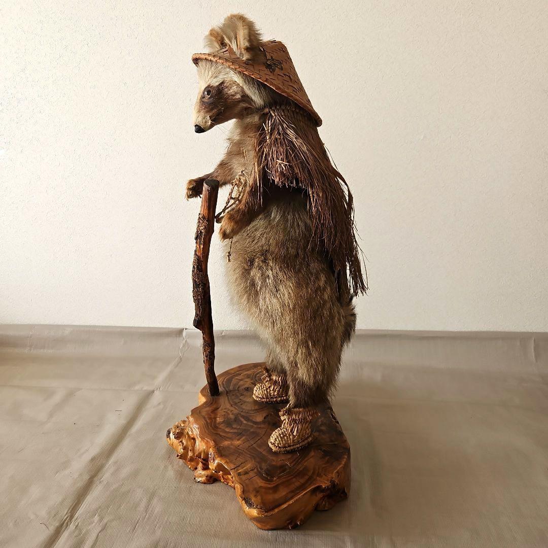 タヌキ　狸　鳥獣　剥製　本物　縁起物　商売繁盛　出世運　天然木　台座付き