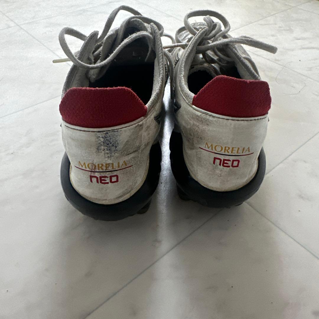 モレリア 25センチ