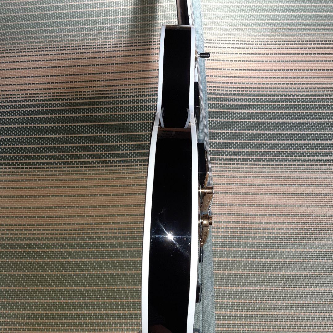 MAISON レスポール 弦新品 ソフトケース、おまけ付き