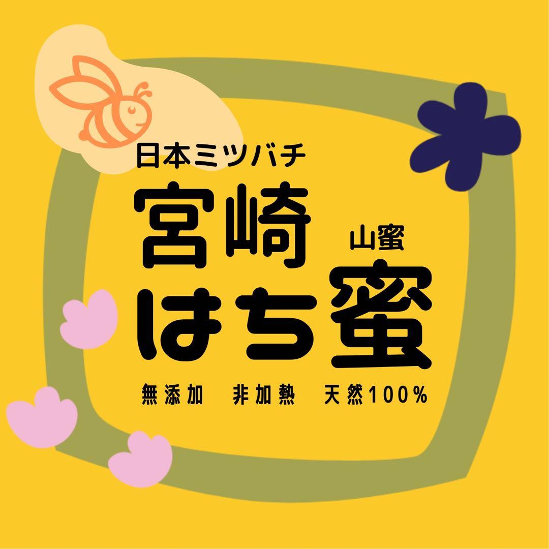 日本蜜蜂 純正ハチミツ 宮崎産山蜜　600g×2