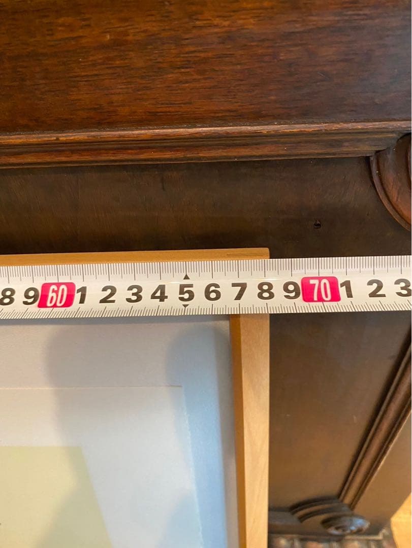 Alain Ragaru リトグラフ 額縁 インテリア ランの盛花