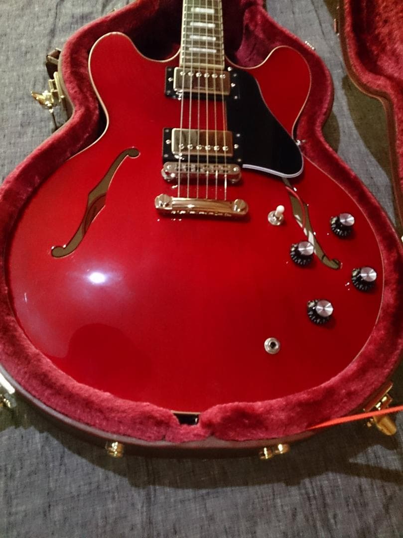 【ハードケース付属】 Burny SRSA65 ES-335タイプ