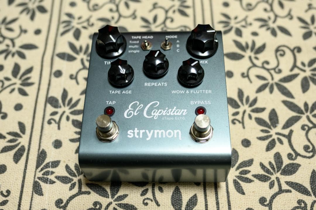 ギター Jan Ray / Flint / El Capistan / ParaEQ