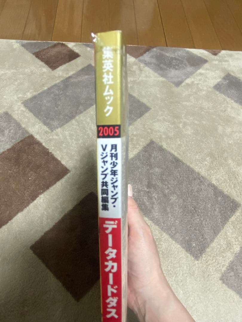レア！！データカードダス⭐︎ドラゴンボールＺ⭐︎プレミアムガイド⭐︎新品未開封