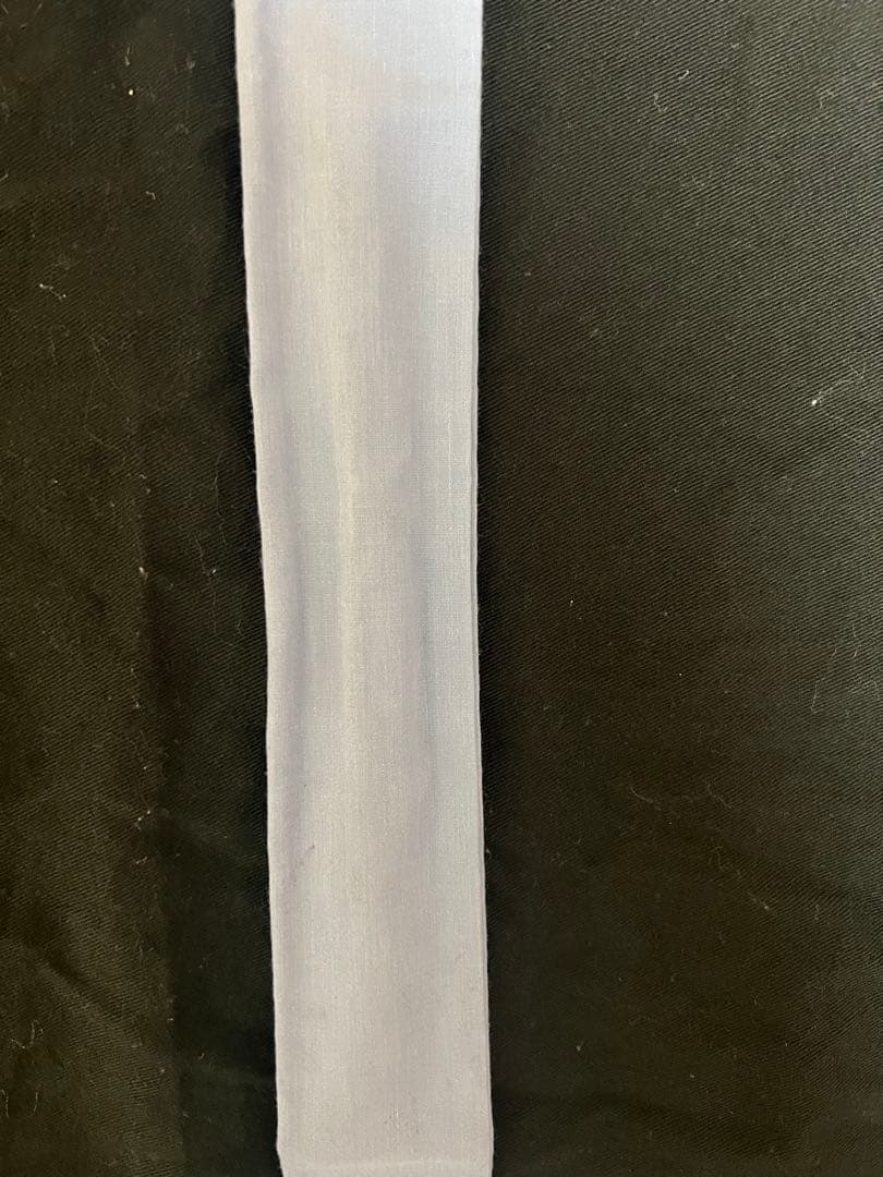 笹*秀様 ダイワ　ヘラブナ竿 HERA S F-SPEC　fスペック　ヘラS　八