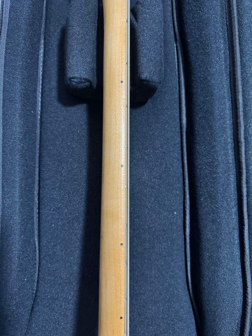 ベース Fender Player Plus Jazz Bass