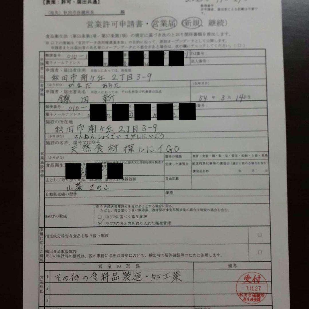 秋田県産 天然きのこ 晩秋の宝箱 クリタケ ムキタケ 採れたて