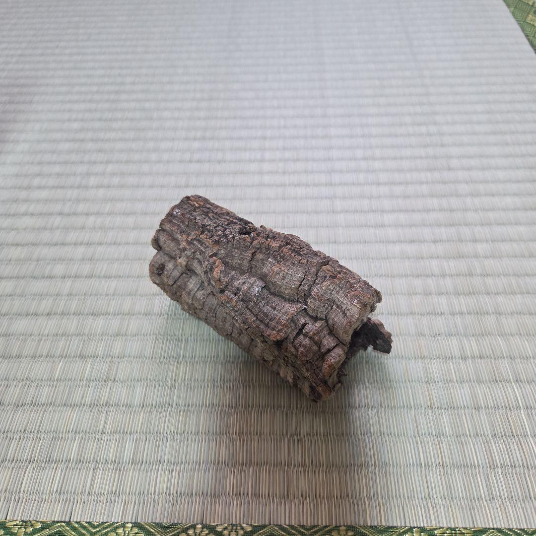 GEX エキゾテラ レプテリアクリアネオフィット180一式セット