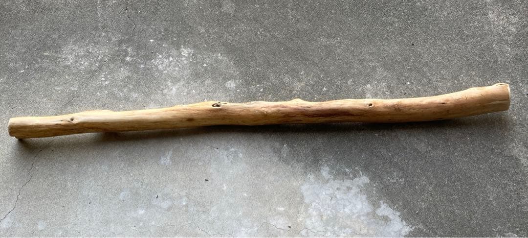 希少　樹齢150〜200年　杉枝　約143cm 鑑賞　庭　インテリア 骨董　華道