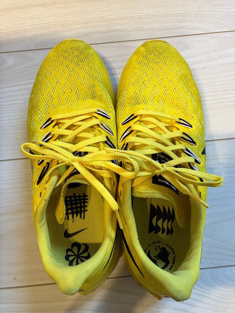 NIKE ペガサス36 コーディハドソン