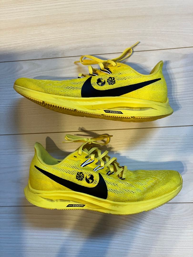 NIKE ペガサス36 コーディハドソン