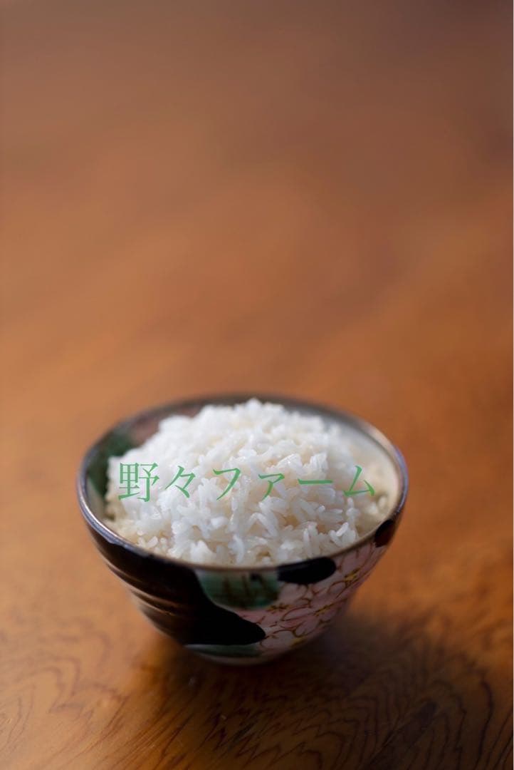 つや姫　10kg 山形　特別栽培米　令和7年