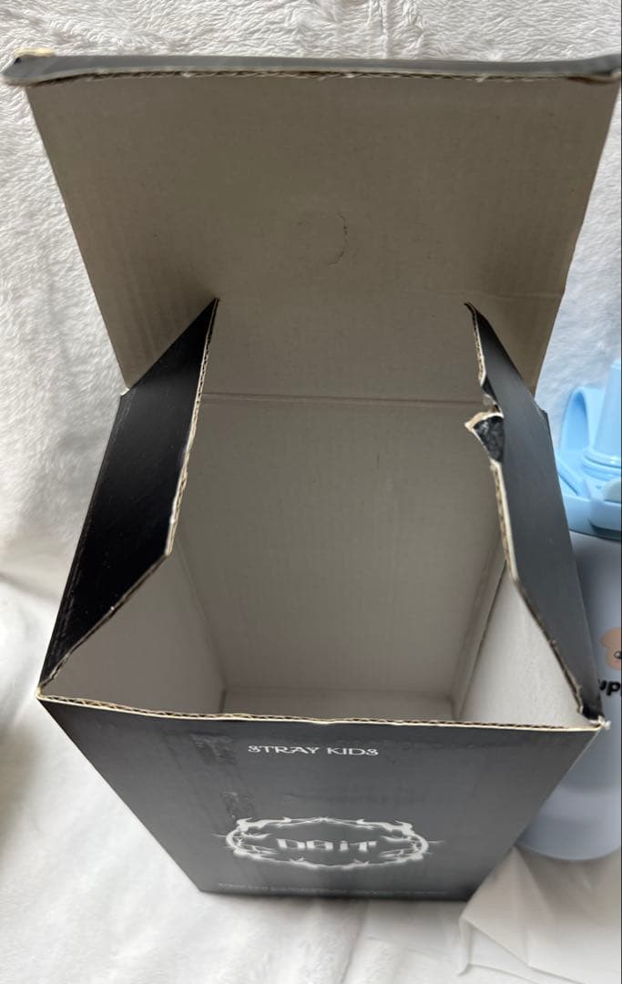 Straykids スキズ　タンブラー　パピーム