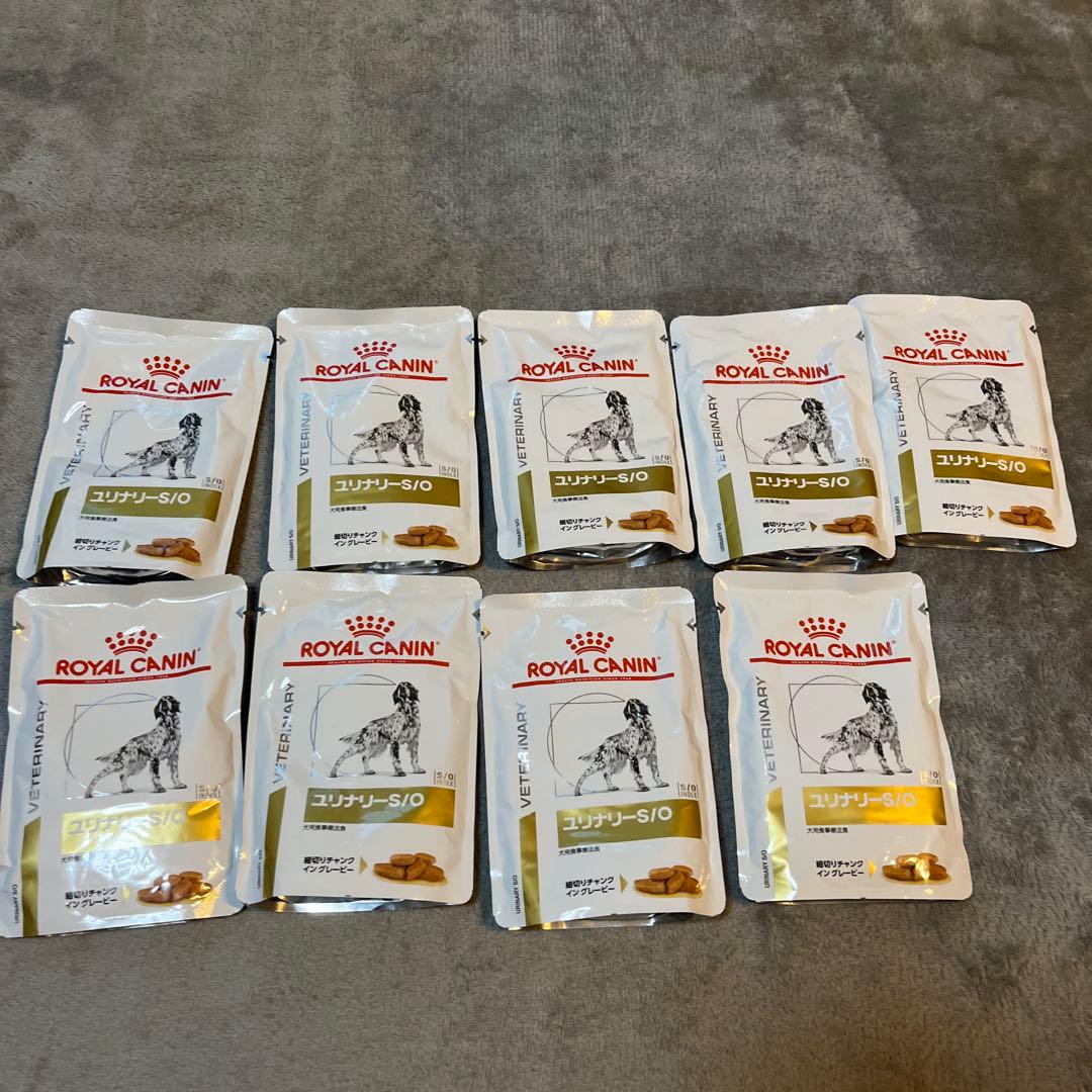  CANIN ユリナリー-S/O 小型犬用 1