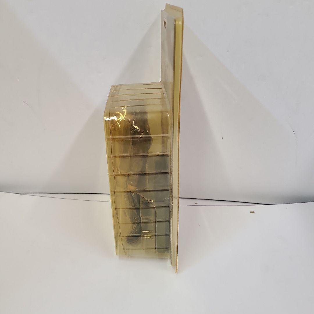 １月いっぱいで出品取消〖未開封〗クローズ FBG 林田恵 あるあるcity版