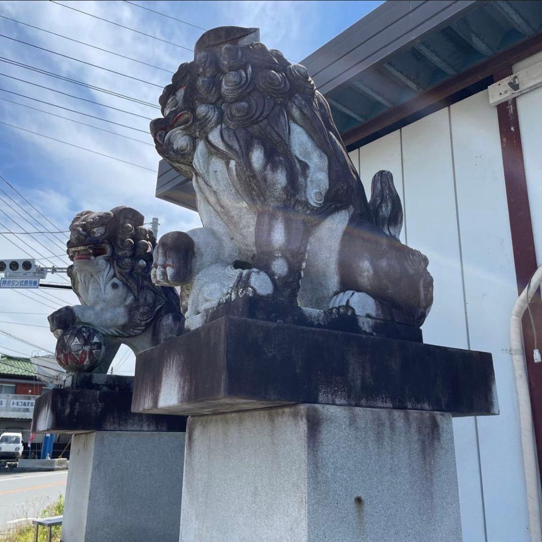 引き取り限定 狛犬 子供 玉付き 特大 石像 台付き 1対