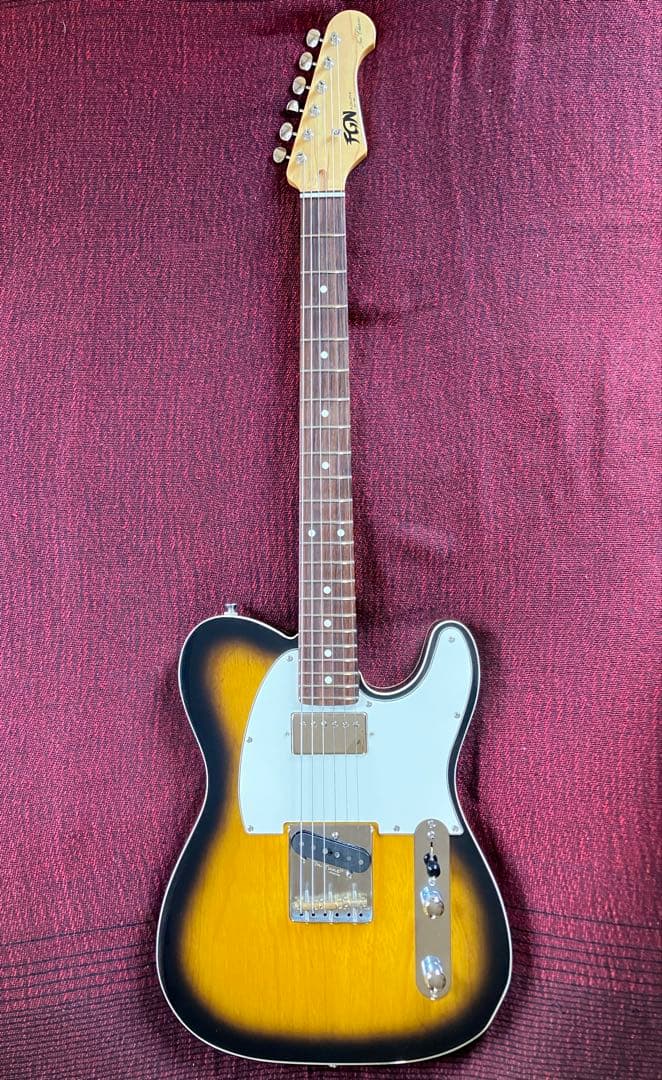 FGN 上位機種 テレキャス NTE21RAH アッシュ美品