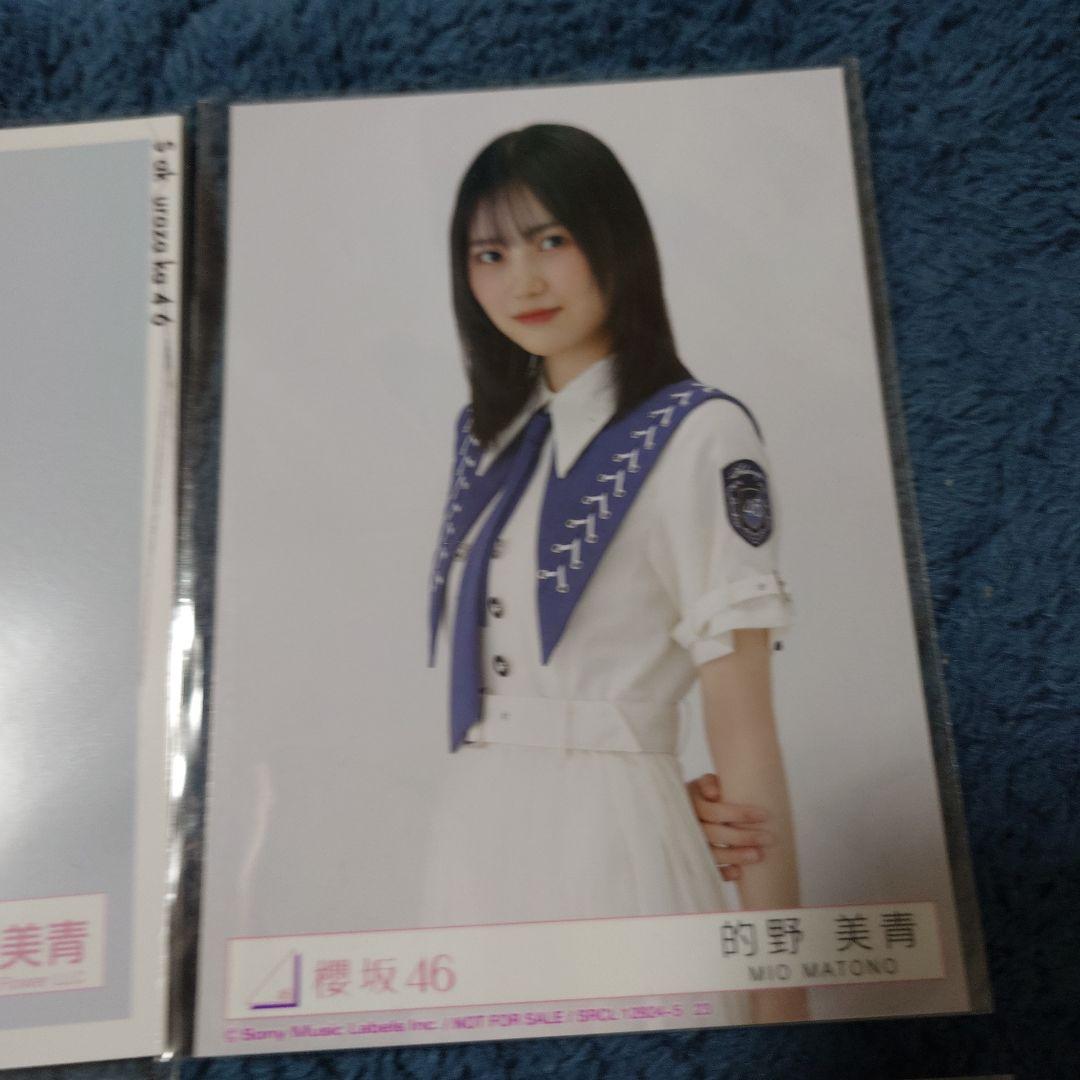 櫻坂46　的野美青　生写真　バラ