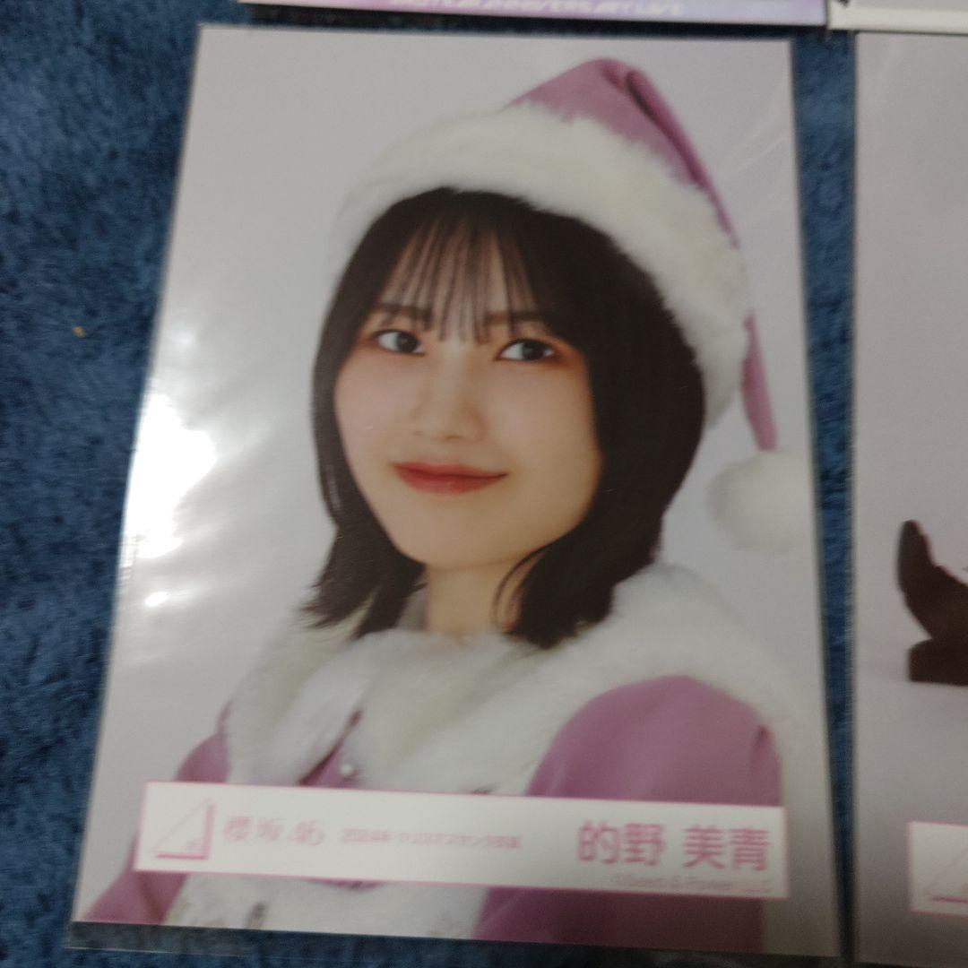 櫻坂46　的野美青　生写真　バラ