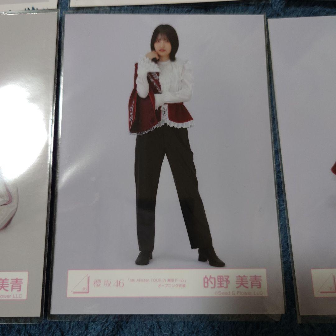 櫻坂46　的野美青　生写真　バラ