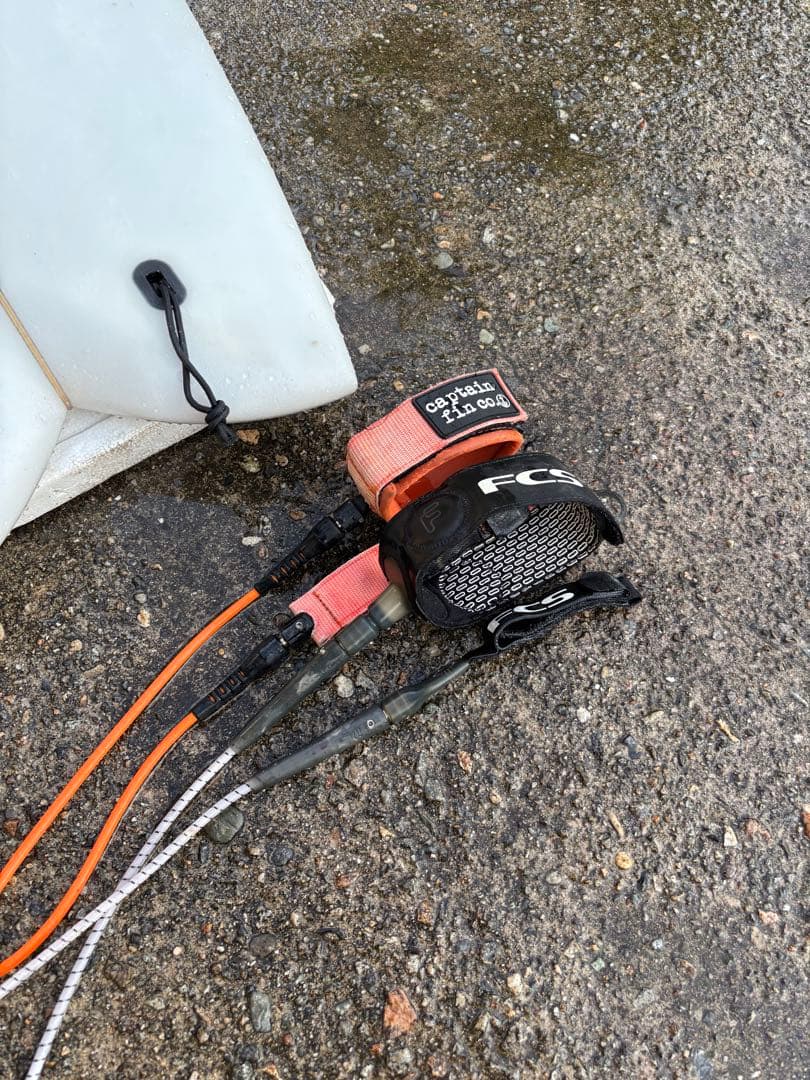 サーフボードフィッシュ