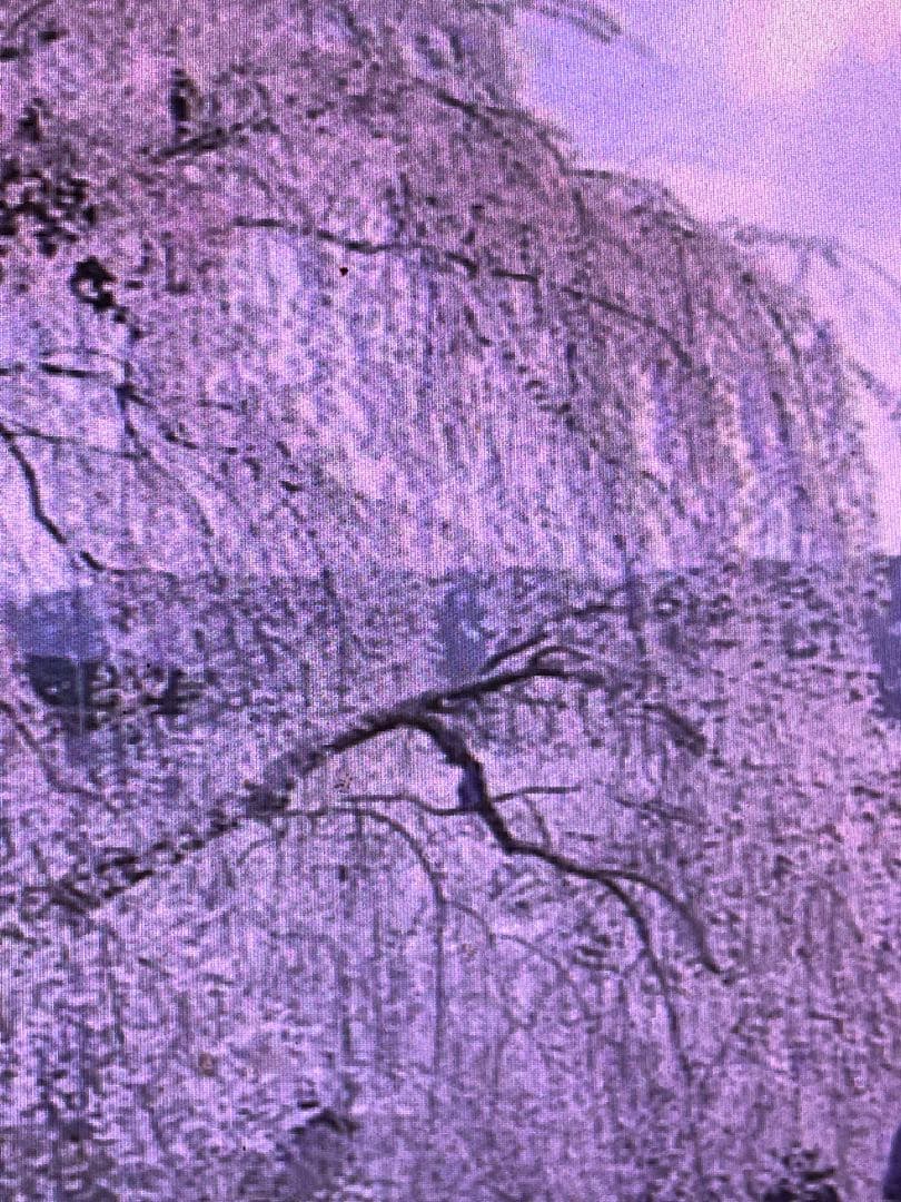 送料無料！9kg180束入り2個お姫さまマーク手延そうめん